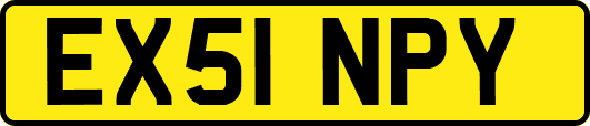 EX51NPY