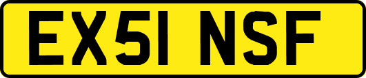 EX51NSF