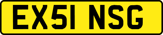 EX51NSG