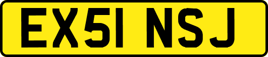 EX51NSJ