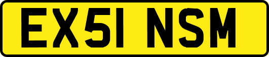 EX51NSM