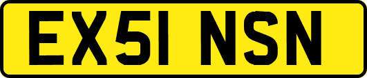 EX51NSN