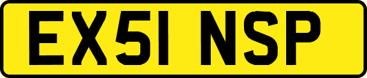 EX51NSP