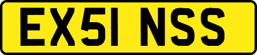 EX51NSS