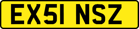 EX51NSZ