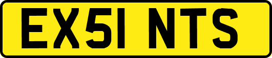 EX51NTS