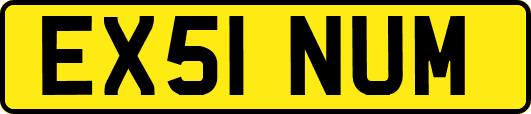 EX51NUM