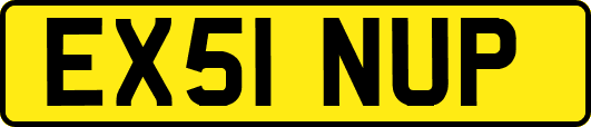 EX51NUP