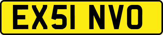 EX51NVO