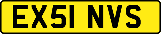 EX51NVS