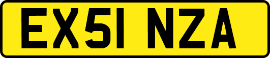 EX51NZA