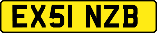 EX51NZB