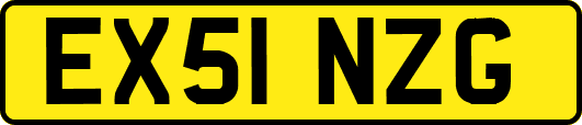 EX51NZG