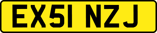 EX51NZJ