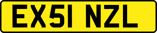 EX51NZL