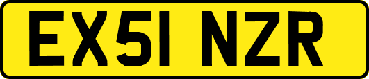 EX51NZR