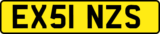 EX51NZS