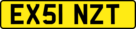 EX51NZT