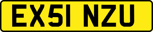 EX51NZU