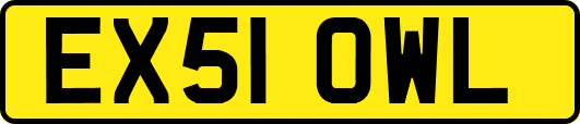 EX51OWL