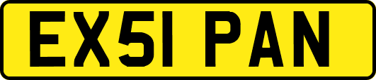 EX51PAN