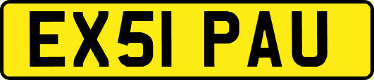 EX51PAU