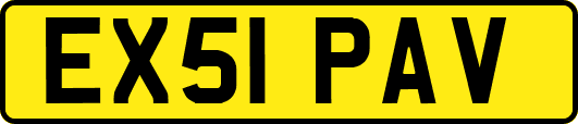 EX51PAV