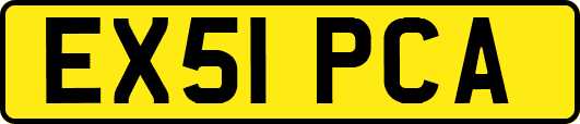 EX51PCA