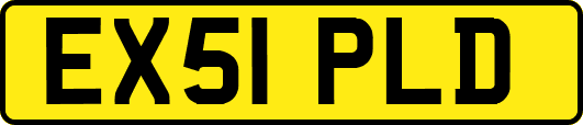 EX51PLD