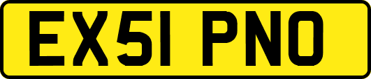 EX51PNO