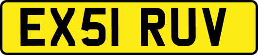 EX51RUV