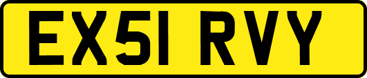 EX51RVY