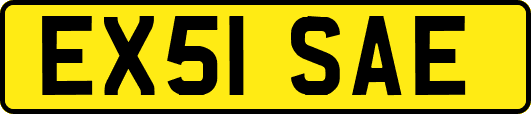 EX51SAE