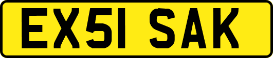 EX51SAK