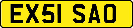 EX51SAO