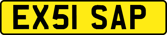 EX51SAP