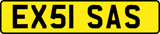 EX51SAS