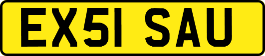 EX51SAU