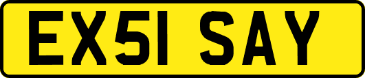 EX51SAY