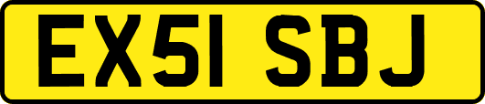 EX51SBJ