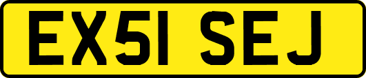 EX51SEJ