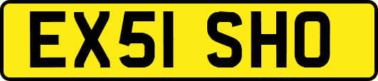 EX51SHO