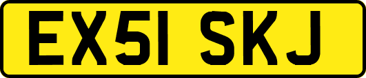EX51SKJ