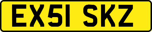 EX51SKZ