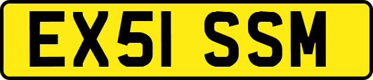 EX51SSM