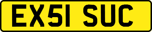 EX51SUC