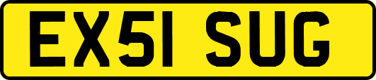 EX51SUG