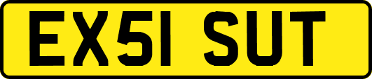 EX51SUT