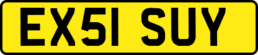 EX51SUY
