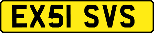EX51SVS